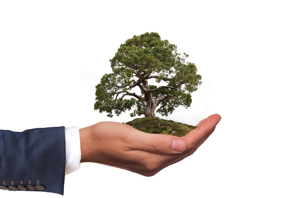 contribuimos a un estilo de vida más amigable al planeta y la sociedad